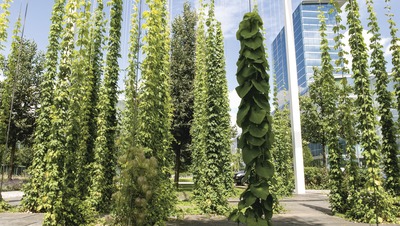 Zentraler Park - Parkstadt Schwabing, München
